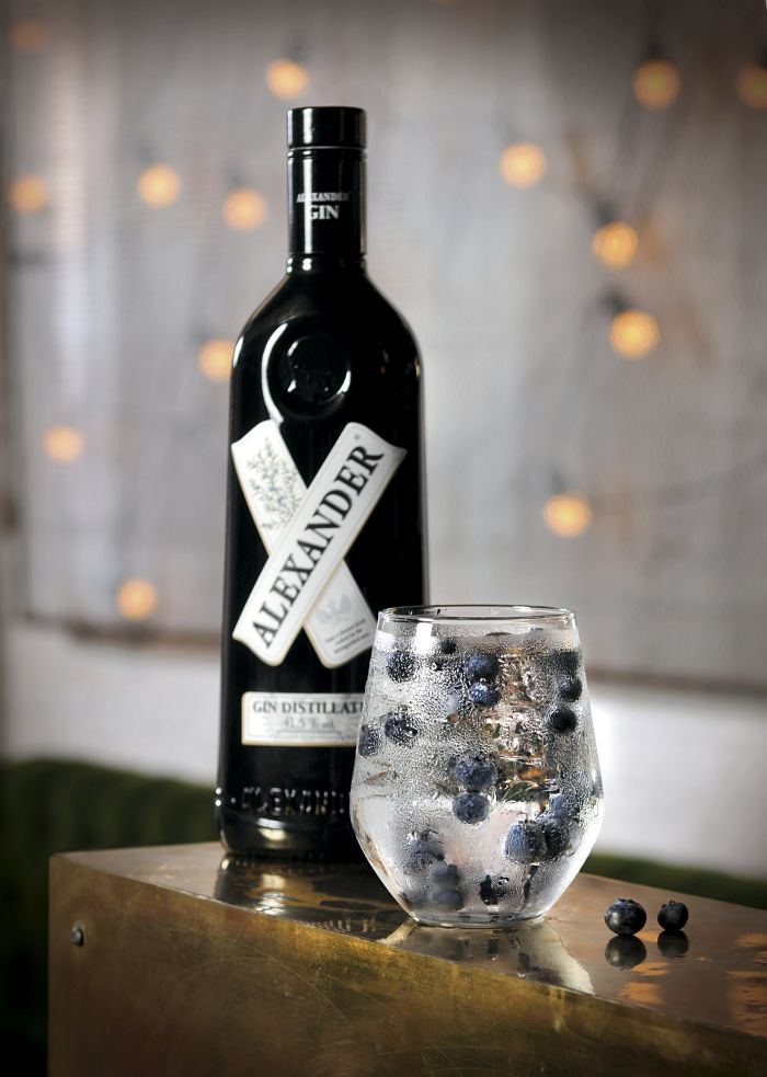 Alexander Gin 1