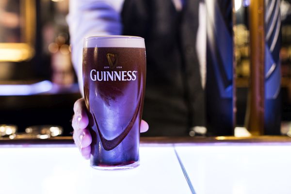 Guinness pint
