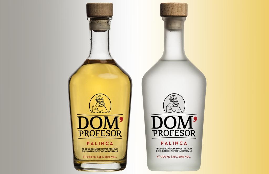 domprofesor