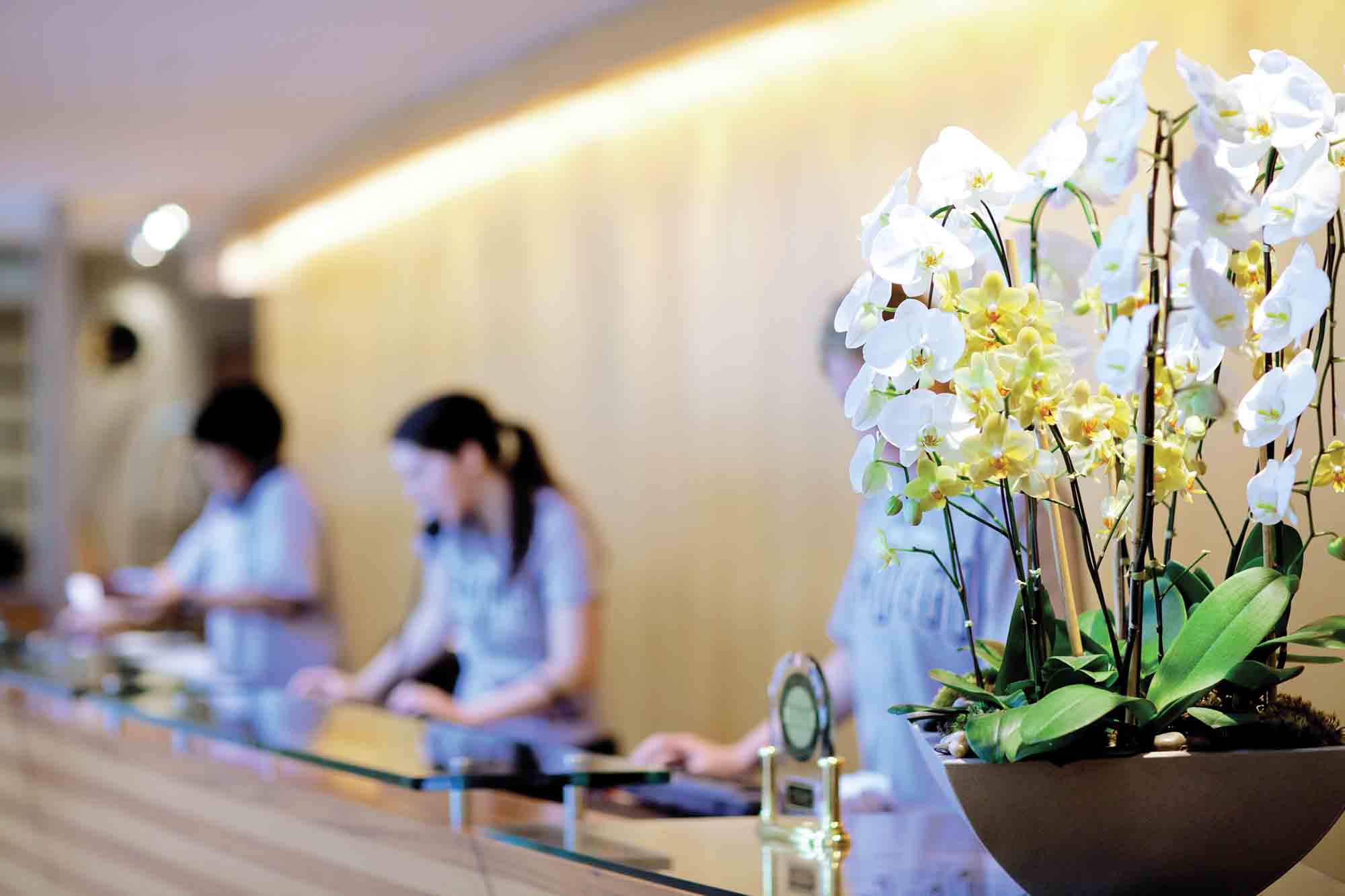 Legislatie horeca