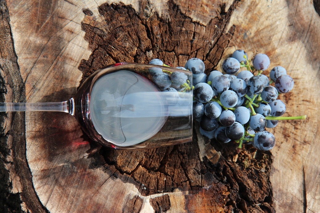 targ de vinuri ReVino