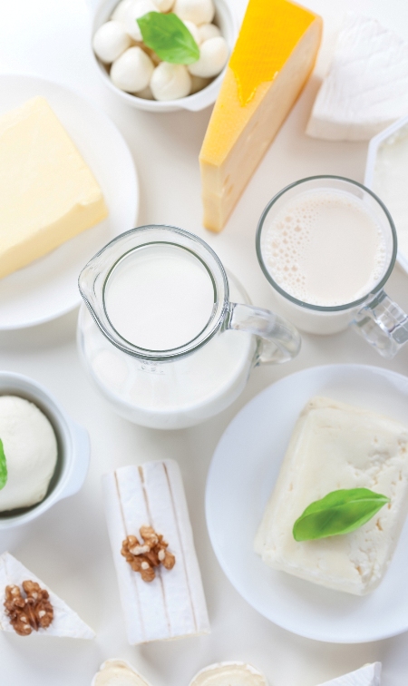 Lactate si branzeturi in horeca