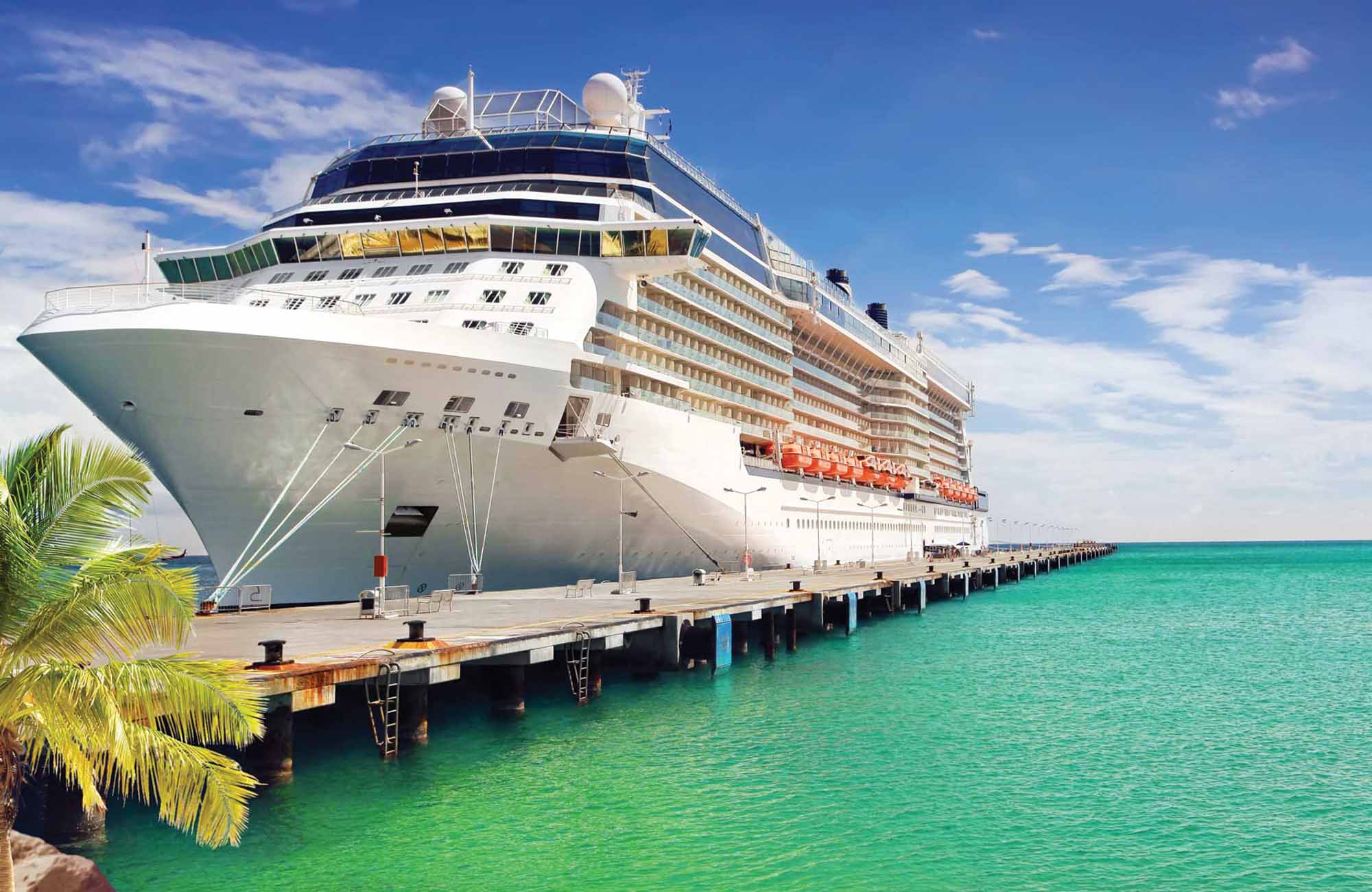 Luxury Cruise Ship in Port