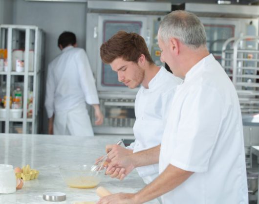 invatamant dual si profesional