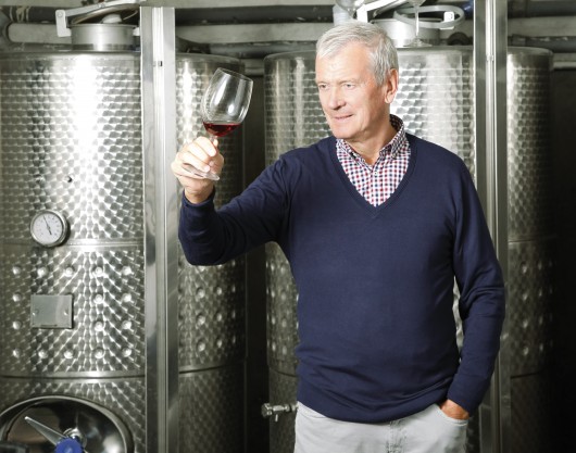 Despre vin si recomandari